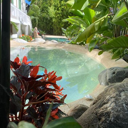 타르브 Appt Ambiance Boheme 2 Ch Piscine Lagon 아파트 외부 사진