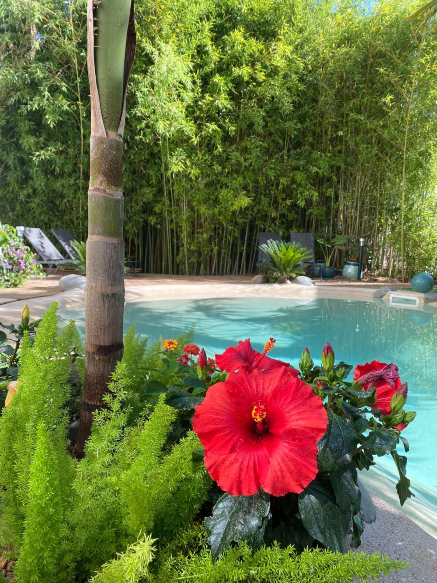 타르브 Appt Ambiance Boheme 2 Ch Piscine Lagon 아파트 외부 사진